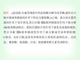 浙教版九年級(jí)科學(xué)下冊(cè)專項(xiàng)素養(yǎng)綜合練(十一)課件