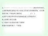 浙教版九年級(jí)科學(xué)下冊(cè)專項(xiàng)素養(yǎng)綜合練(十二)課件
