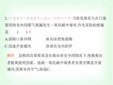 浙教版九年級(jí)科學(xué)下冊(cè)專項(xiàng)素養(yǎng)綜合練(十三)課件