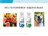 浙教版八年級下冊科學2.4 組成物質的元素 課件