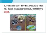 浙教版八年級下冊科學4.1 土壤的成分課件