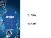 2.5 用化學(xué)式表示物質(zhì)（第1課時(shí)）（教學(xué)課件）七年級(jí)科學(xué)下冊(cè)（浙教版）