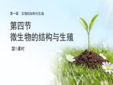第一章 第4節(jié) 微生物的結(jié)構(gòu)與生殖 第1課時 課件 科學浙教版（2024）七年級下冊