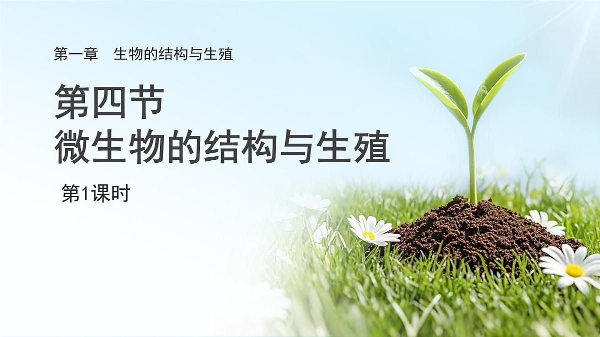 第一章 第4节 微生物的结构与生殖 第1课时 课件 科学浙教版（2024）七年级下册第1页