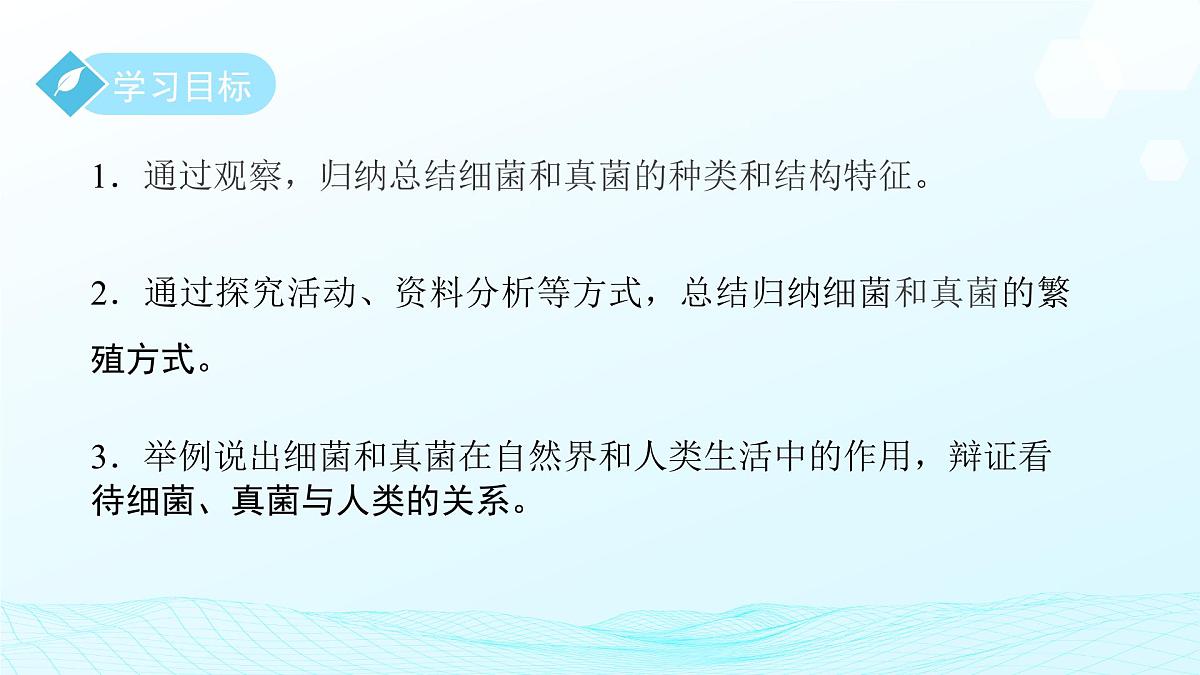 第一章 第4节 微生物的结构与生殖 第1课时 课件 科学浙教版（2024）七年级下册第2页