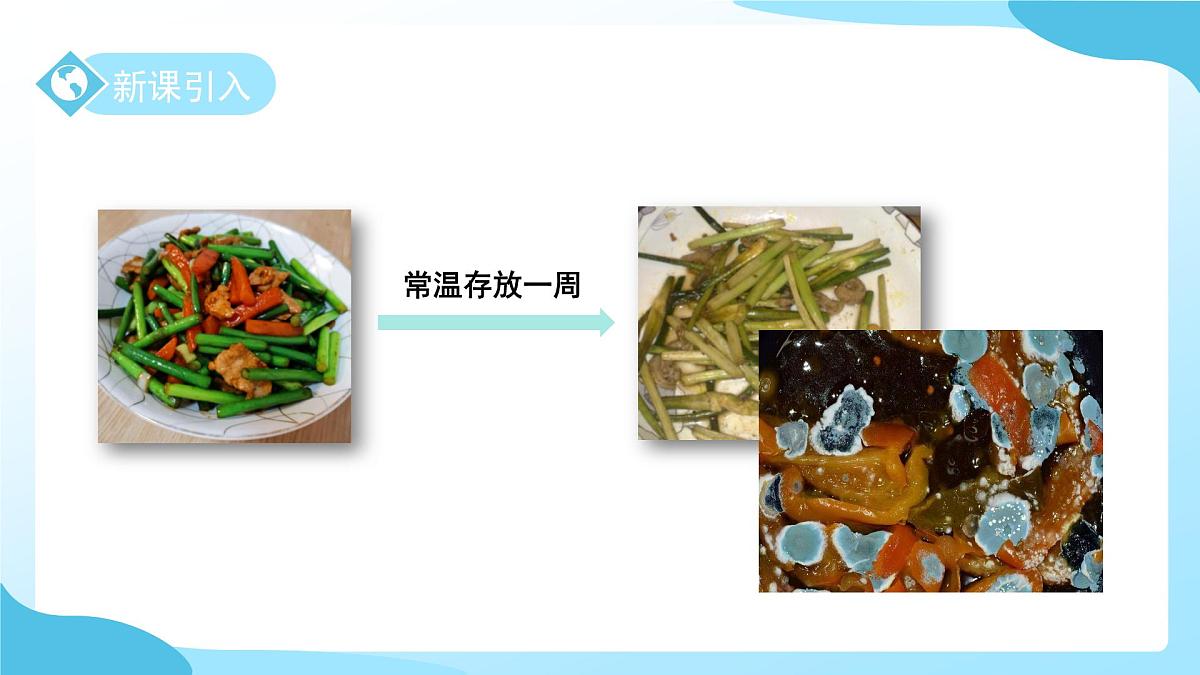 第一章 第4节 微生物的结构与生殖 第1课时 课件 科学浙教版（2024）七年级下册第3页