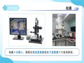 第一章 第4節(jié) 微生物的結(jié)構(gòu)與生殖 第1課時 課件 科學浙教版（2024）七年級下冊