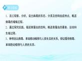 第一章 第4節(jié) 微生物的結(jié)構(gòu)與生殖 第2課時 課件 科學浙教版（2024）七年級下冊