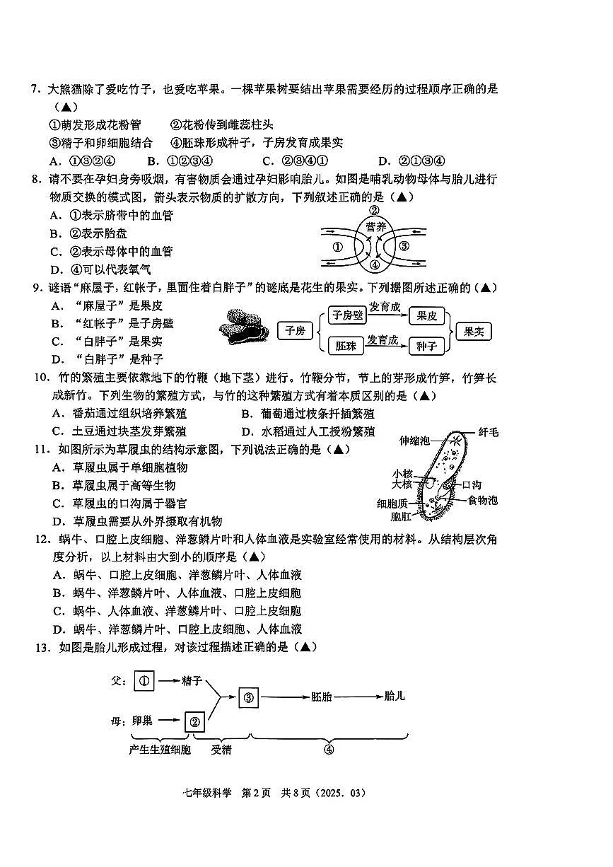 浙江省湖州市德清县部分学校2024—2025学年七年级第二学期第一次月考科学试卷第2页