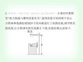 浙教版九年級(jí)科學(xué)下冊(cè)專項(xiàng)素養(yǎng)綜合練(十)課件