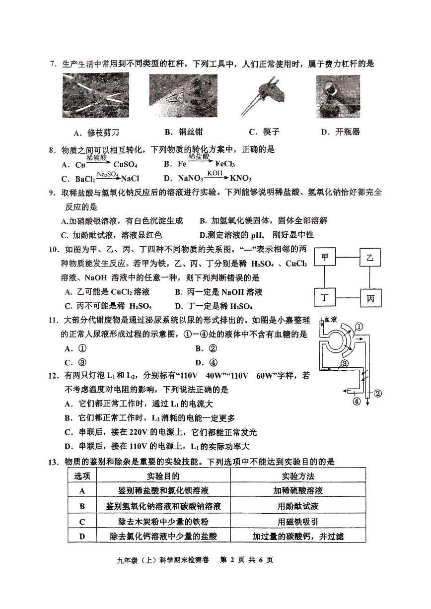 嘉兴平湖市2024学年初三第一学期期末模拟检测科学试卷第2页