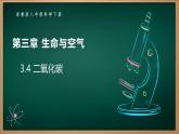 3.4 二氧化碳（同步课件）-2024-2025学年八年级科学下册（浙教版2024）