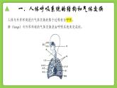 3.5 生物的呼吸和呼吸作用（同步课件）-2024-2025学年八年级科学下册（浙教版2024）