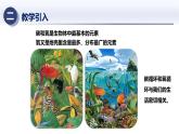 3.2自然界中的碳循環(huán)和氧循環(huán)（課件）2025學(xué)年九年級(jí)科學(xué)下冊(cè)同步精品課堂（華東師大版）