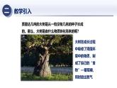 3.2自然界中的碳循環(huán)和氧循環(huán)（課件）2025學(xué)年九年級(jí)科學(xué)下冊(cè)同步精品課堂（華東師大版）