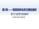 3.3.1自然界中的氮循環(huán)（一）（課件）2025學(xué)年九年級(jí)科學(xué)下冊(cè)同步精品課堂（華東師大版）