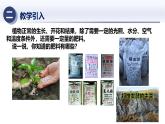 3.3.1自然界中的氮循環(huán)（一）（課件）2025學(xué)年九年級(jí)科學(xué)下冊(cè)同步精品課堂（華東師大版）