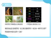 第二章 第4節(jié) 探究物質(zhì)組成的奧秘 第2課時 課件 科學浙教版（2024）七年級下冊