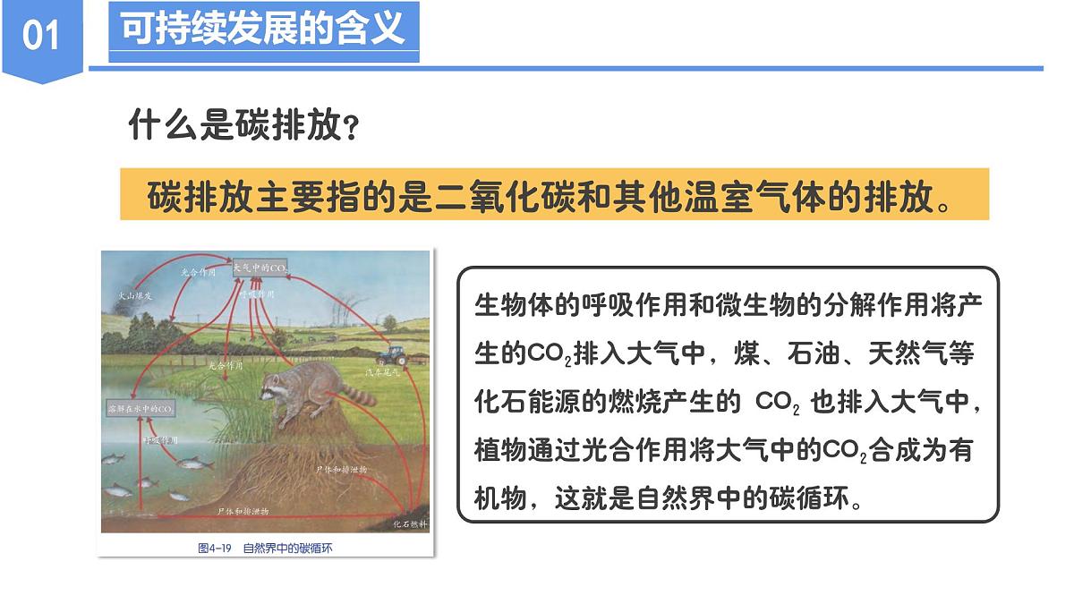 4.4 实现可持续发展（教学课件）九年级科学下册同步高效课堂（浙教版）第8页