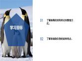1.4 微生物的結(jié)構(gòu)與生殖（第2課時）七年級科學下冊同步備課系列（浙教版）課件