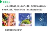3.6 光合作用（第1课时）（教学课件）八年级科学下册同步高效课堂（浙教版）