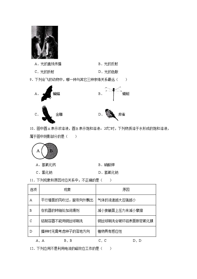 2025年浙江省湖州市中考一模科学试题（无答案）第3页