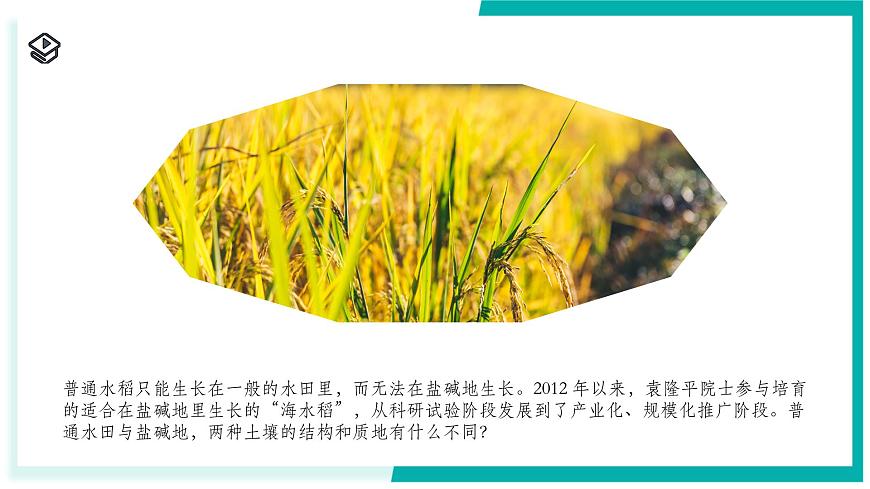 4.2 土壤的结构和质地-初中科学七年级下册 同步教学课件（浙教版2024）第2页