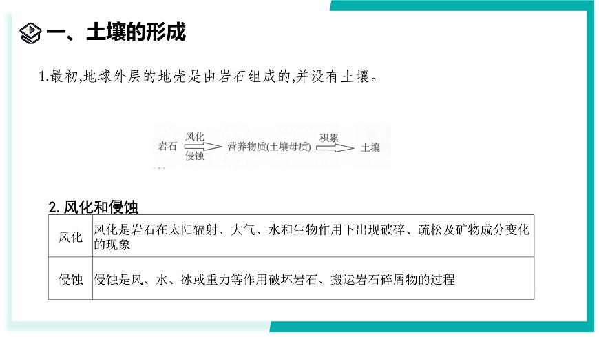 4.2 土壤的结构和质地-初中科学七年级下册 同步教学课件（浙教版2024）第3页