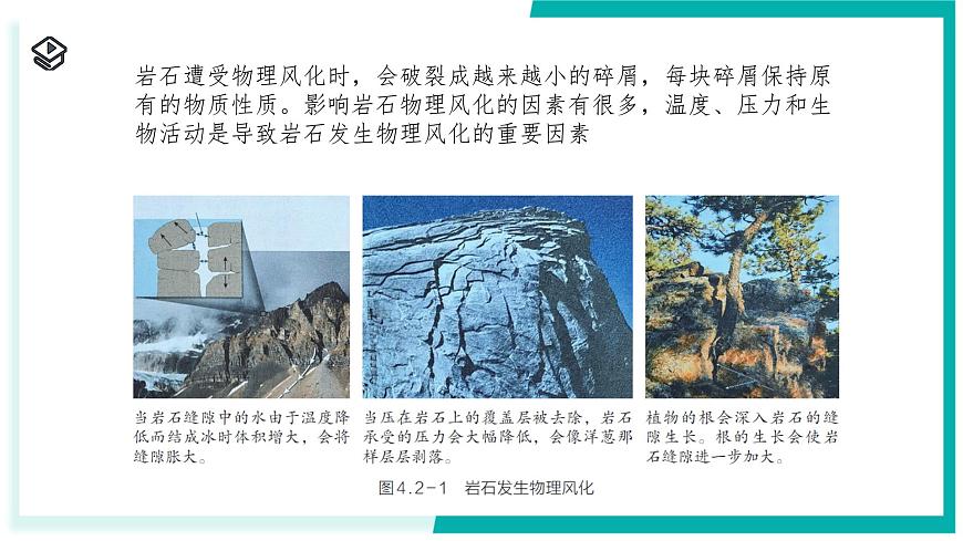4.2 土壤的结构和质地-初中科学七年级下册 同步教学课件（浙教版2024）第4页