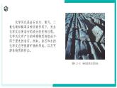 4.2 土壤的結(jié)構(gòu)和質(zhì)地-初中科學(xué)七年級下冊 同步教學(xué)課件+同步練習(xí)（浙教版2024）