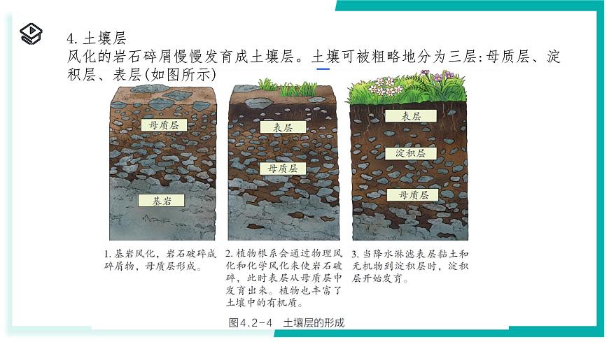 4.2 土壤的结构和质地-初中科学七年级下册 同步教学课件（浙教版2024）第8页