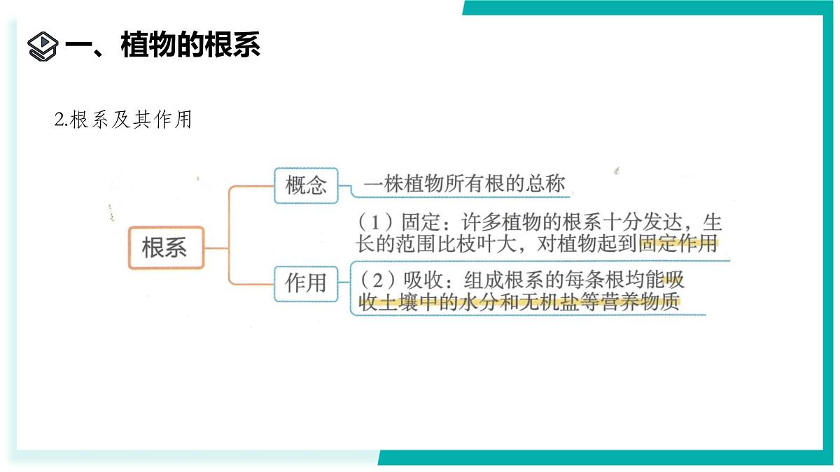 4.3 土壤与植物生长（第1课时）-初中科学七年级下册 同步教学课件（浙教版2024）第4页
