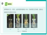 4.3 土壤與植物生長（第1課時）-初中科學(xué)七年級下冊 同步教學(xué)課件+同步練習(xí)（浙教版2024）