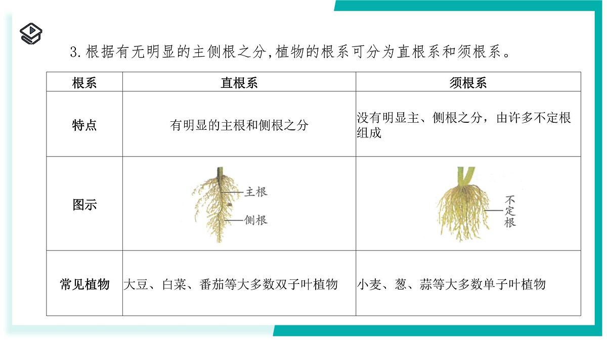 4.3 土壤与植物生长（第1课时）-初中科学七年级下册 同步教学课件（浙教版2024）第7页