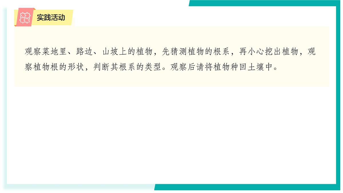 4.3 土壤与植物生长（第1课时）-初中科学七年级下册 同步教学课件（浙教版2024）第8页