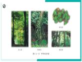 4.3 土壤與植物生長（第2課時）-初中科學(xué)七年級下冊 同步教學(xué)課件+同步練習(xí)（浙教版2024）