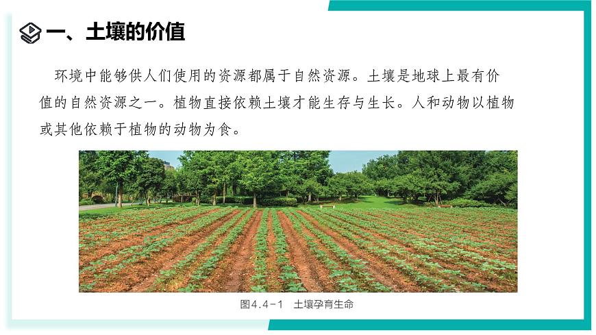 4.4 保护土壤-初中科学七年级下册 同步教学课件（浙教版2024）第3页