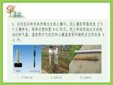 4.1 土壤的成分（同步课件）2025学年八年级科学下册浙教版