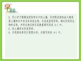 4.1 土壤的成分（同步课件）2025学年八年级科学下册浙教版