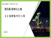 4.2 各種各樣的土壤（同步課件）2025學(xué)年八年級(jí)科學(xué)下冊(cè)浙教版
