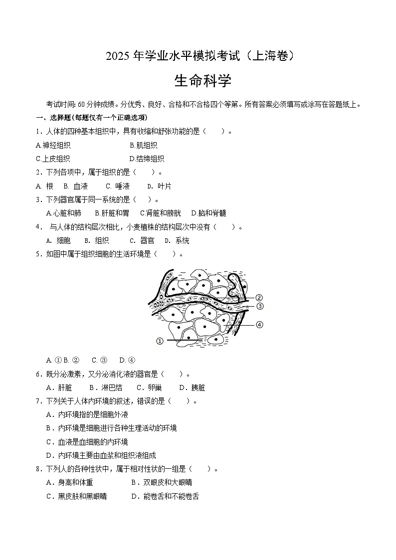 2025年中考第二次模拟考试卷：生命科学（上海卷）（考试版）第1页