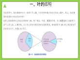 4.6 保護(hù)土壤（同步課件）2025學(xué)年八年級科學(xué)下冊浙教版