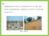 4.6 保護(hù)土壤（同步課件）2025學(xué)年八年級科學(xué)下冊浙教版