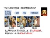 5.2《我們一起來制造》（第1課時(shí)）課件 浙教版科學(xué)七年級下冊