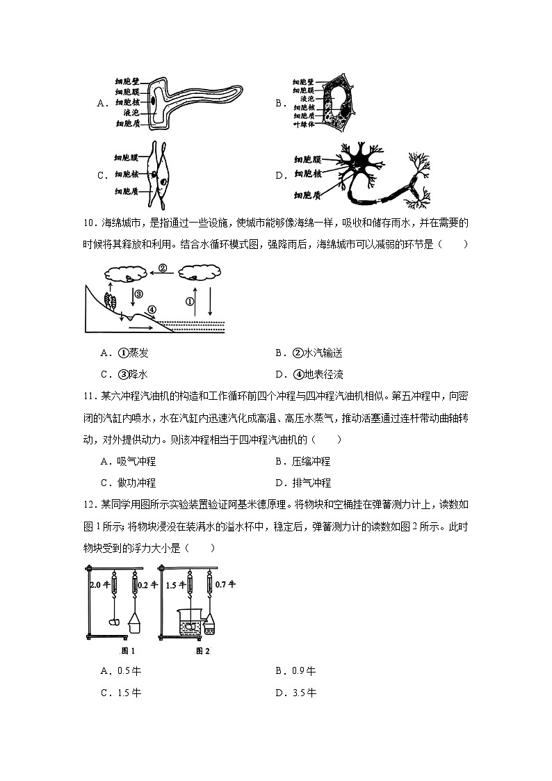 2025年4月浙江省台州市中考一模科学试题（无答案）第3页