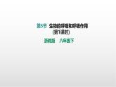 3.5《生物的呼吸和呼吸作用》（第1课时）课件 2025学年浙教版科学八年级下册