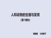 1.2《人和動物的生殖與發(fā)育》（第1課時） 課件 浙教版科學(xué)七年級下冊