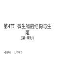 1.4《微生物的結(jié)構(gòu)與生殖》（第1課時） 課件浙教版科學七年級下冊