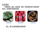 1.4《微生物的結(jié)構(gòu)與生殖》（第1課時） 課件浙教版科學七年級下冊