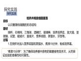 1.4《微生物的結(jié)構(gòu)與生殖》（第1課時） 課件浙教版科學七年級下冊